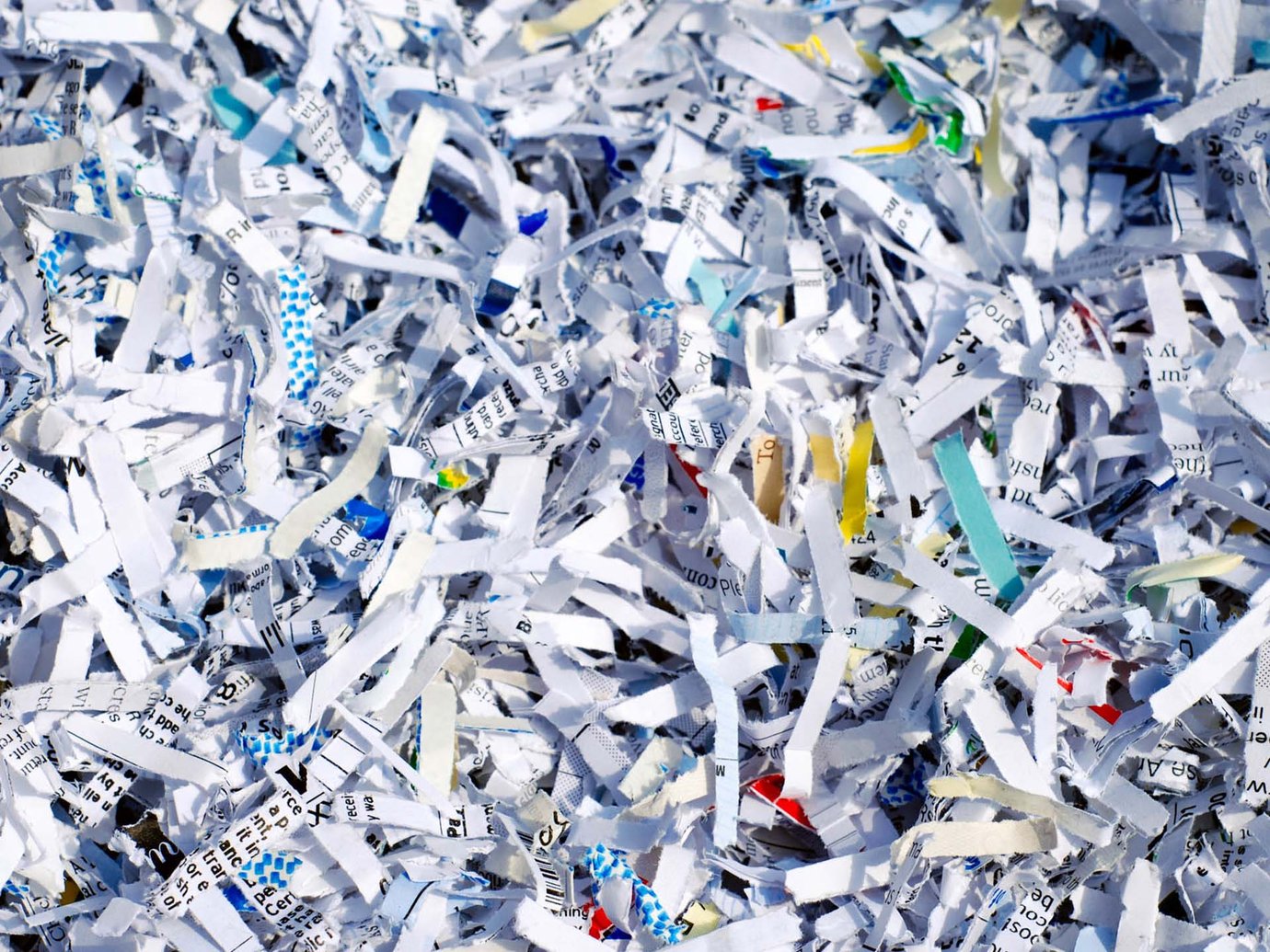 Shredded Paper - Waste Reduction & Recycling